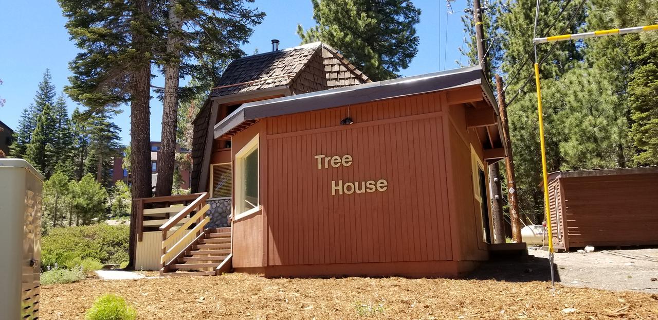 Tree House- Walk To Mammoth Village Mammoth Lakes Exterior foto